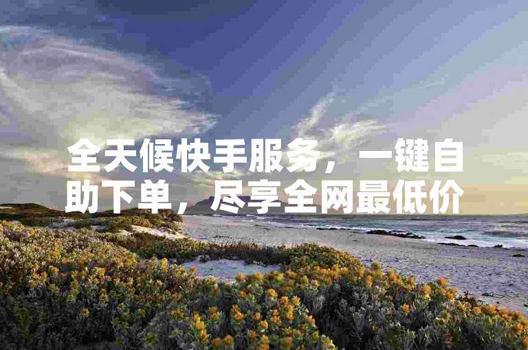 全天候快手服务，一键自助下单，尽享全网最低价。