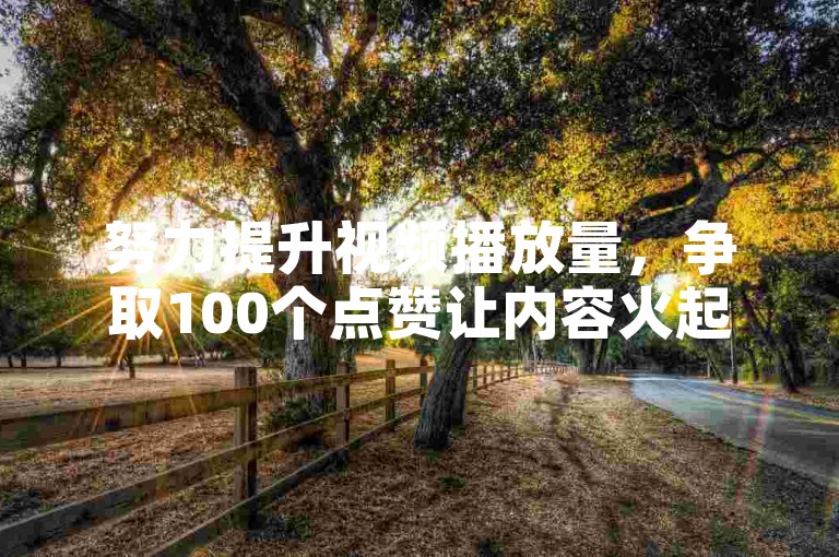 努力提升视频播放量，争取100个点赞让内容火起来。