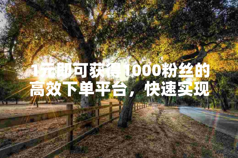 1元即可获得1000粉丝的高效下单平台，快速实现1元秒刷1000粉的目标。