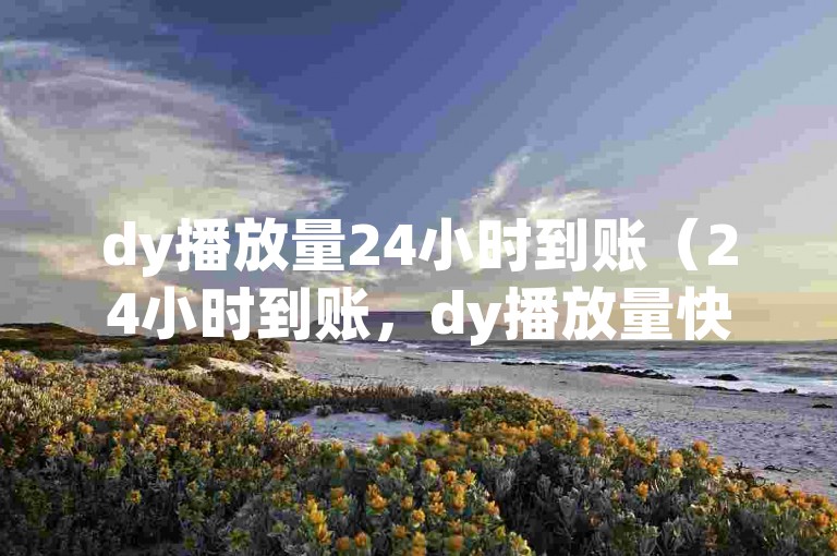 dy播放量24小时到账（24小时到账，dy播放量快速结算）