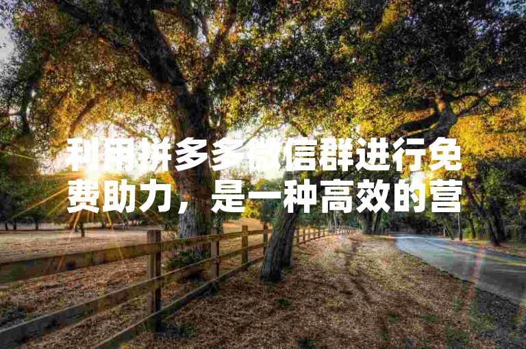 利用拼多多微信群进行免费助力，是一种高效的营销手段。