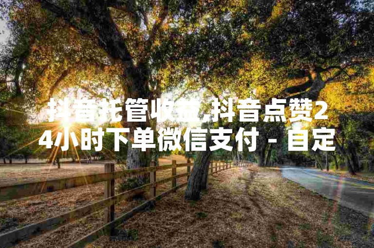 抖音托管收益,抖音点赞24小时下单微信支付 - 自定义评论网站 - 发卡网货源