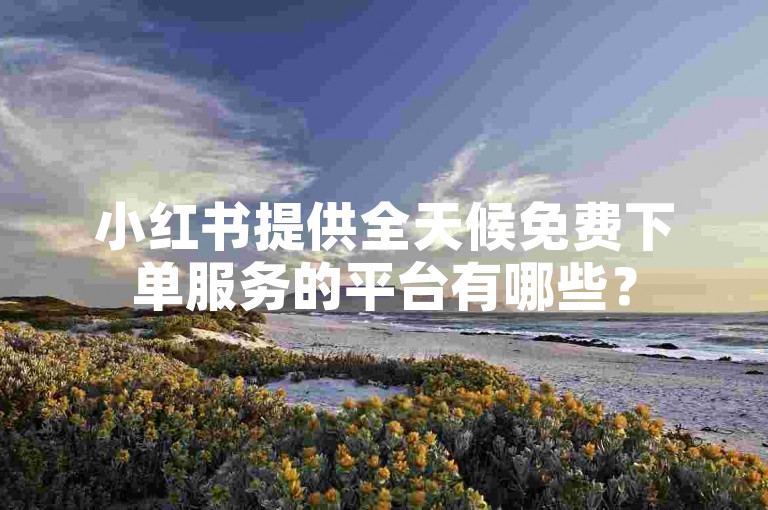 小红书提供全天候免费下单服务的平台有哪些？