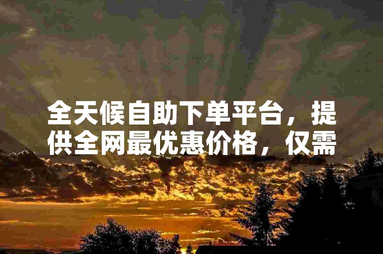全天候自助下单平台，提供全网最优惠价格，仅需0.5元即可获得1000个赞。