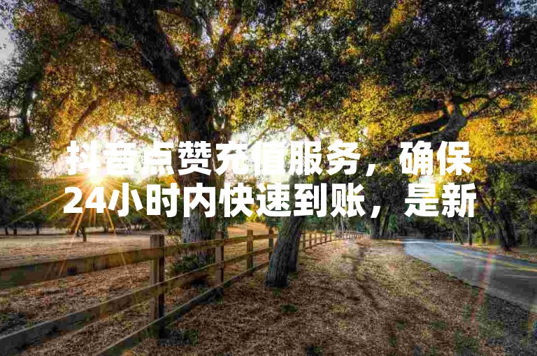 抖音点赞充值服务，确保24小时内快速到账，是新用户的最佳选择！
