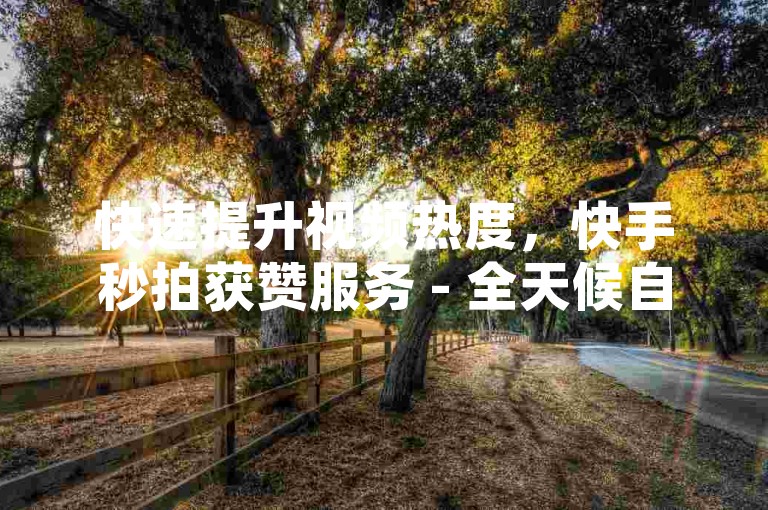 快速提升视频热度，快手秒拍获赞服务 - 全天候自助点赞系统。