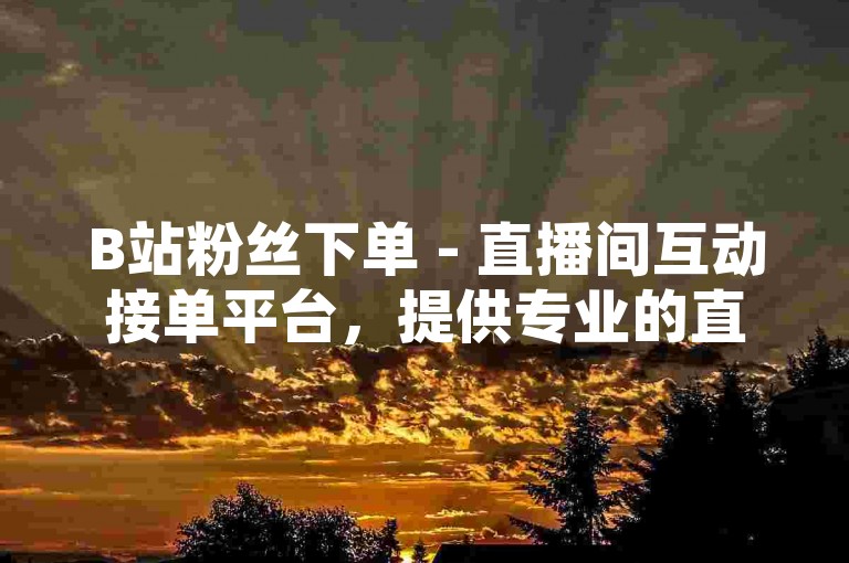 B站粉丝下单 - 直播间互动接单平台，提供专业的直播推广服务。