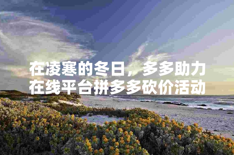 在凌寒的冬日，多多助力在线平台拼多多砍价活动如火如荼地进行着。