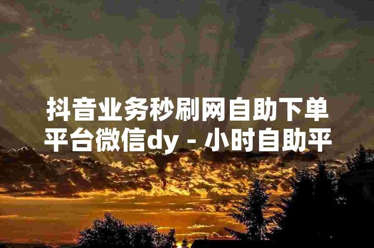 抖音业务秒刷网自助下单平台微信dy - 小时自助平台业务下单ks