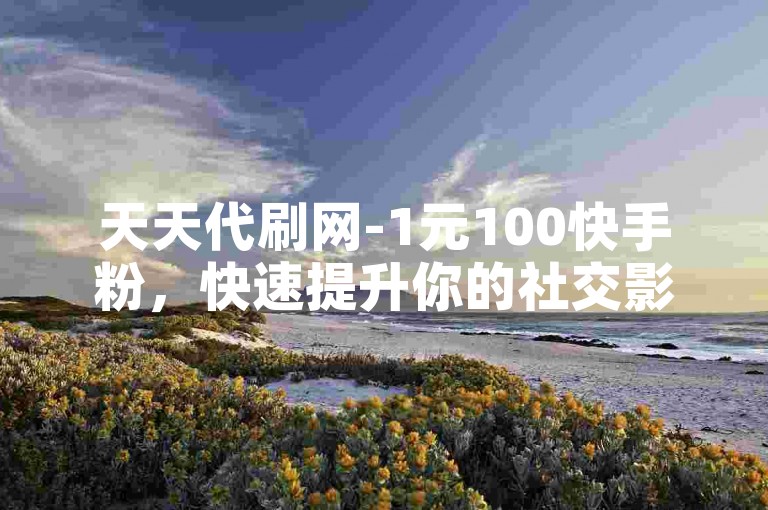 天天代刷网-1元100快手粉，快速提升你的社交影响力。