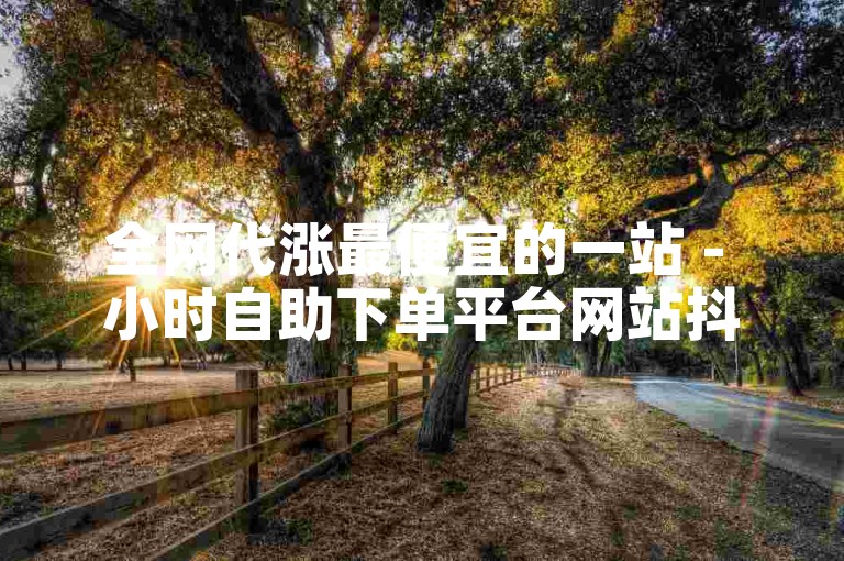 全网代涨最便宜的一站 - 小时自助下单平台网站抖音速