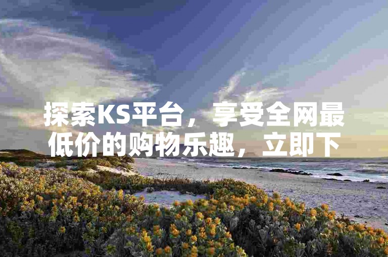 探索KS平台，享受全网最低价的购物乐趣，立即下单，无需等待。