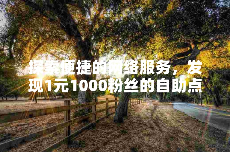 探索便捷的网络服务，发现1元1000粉丝的自助点赞平台及微博白号购买选项。