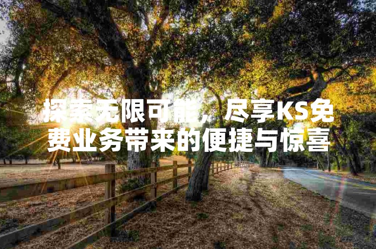 探索无限可能，尽享KS免费业务带来的便捷与惊喜，全天候自助下单，零成本快速支付，快手业务网以最低价格引领你进入无界体验。