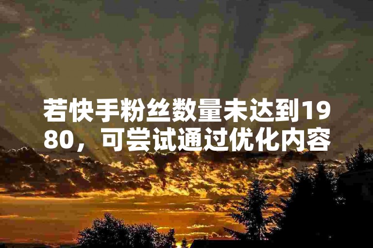 若快手粉丝数量未达到1980，可尝试通过优化内容、互动提升、合作推广等策略来增加粉丝量。
