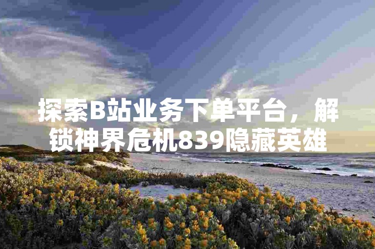 探索B站业务下单平台，解锁神界危机839隐藏英雄密码的神秘面纱。