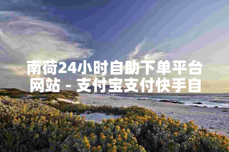 南荷24小时自助下单平台网站 - 支付宝支付快手自助下单