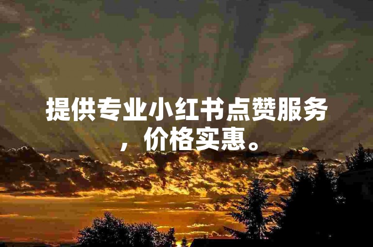 提供专业小红书点赞服务，价格实惠。