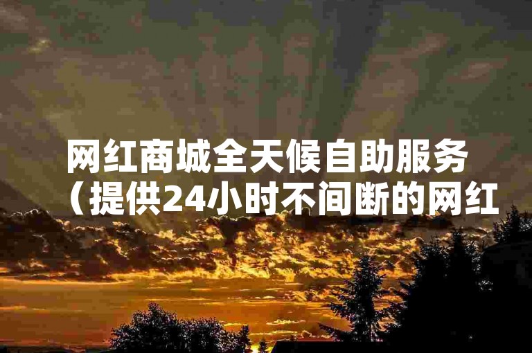 网红商城全天候自助服务（提供24小时不间断的网红商品自助选购，打造一体化网红消费体验）。