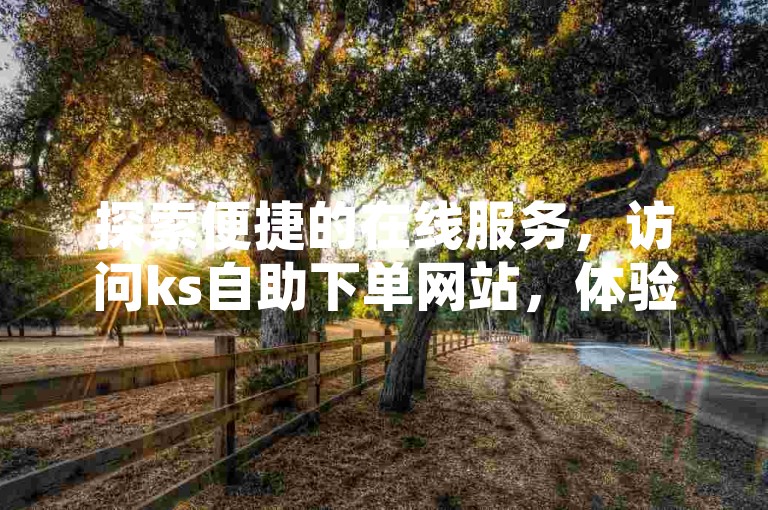 探索便捷的在线服务，访问ks自助下单网站，体验陌路代涨平台的高效服务。