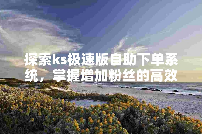 探索ks极速版自助下单系统，掌握增加粉丝的高效策略。