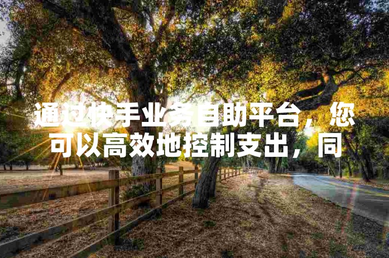 通过快手业务自助平台，您可以高效地控制支出，同时提高内容的可见度和盈利。