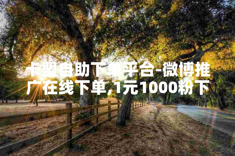 卡盟自助下单平台-微博推广在线下单,1元1000粉下单平台