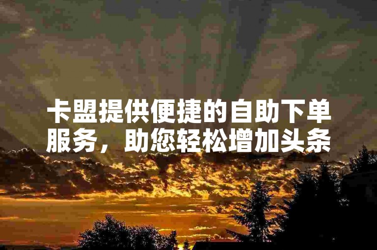 卡盟提供便捷的自助下单服务，助您轻松增加头条粉丝。