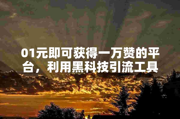 01元即可获得一万赞的平台，利用黑科技引流工具助力推广。