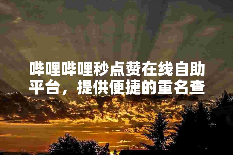 哔哩哔哩秒点赞在线自助平台，提供便捷的重名查询服务。