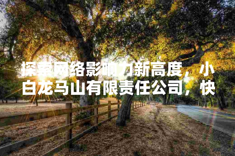 探索网络影响力新高度，小白龙马山有限责任公司，快手买热度网站首选，仅需0.01元起！