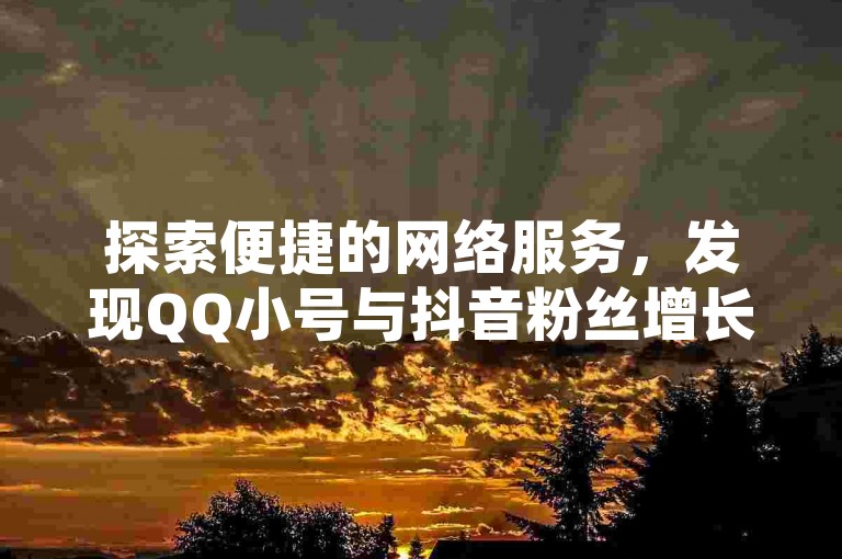 探索便捷的网络服务，发现QQ小号与抖音粉丝增长的快捷购买通道。