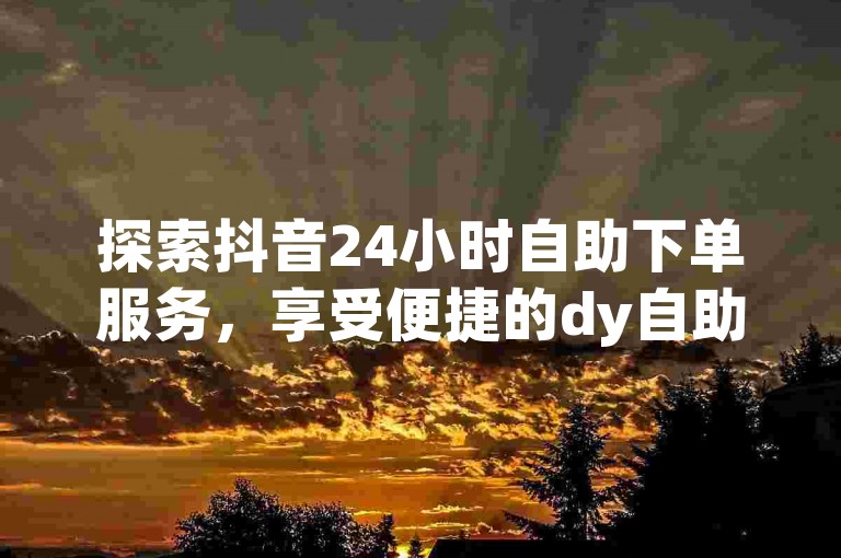 探索抖音24小时自助下单服务，享受便捷的dy自助业务下单网站体验。