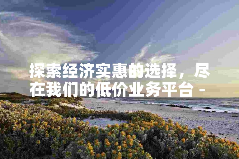 探索经济实惠的选择，尽在我们的低价业务平台 - 享受超值服务无需高价！