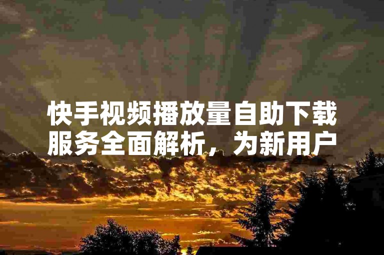 快手视频播放量自助下载服务全面解析，为新用户提供必备指南！