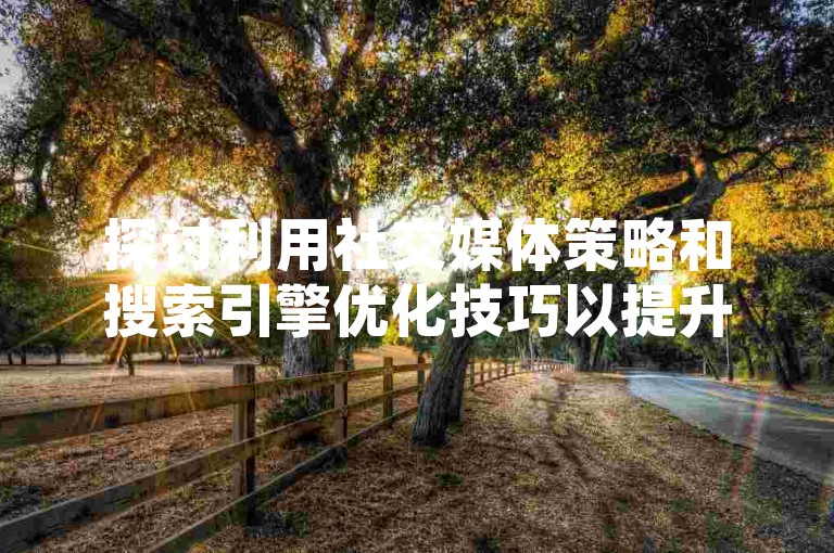 探讨利用社交媒体策略和搜索引擎优化技巧以提升QQ空间的用户访问量。