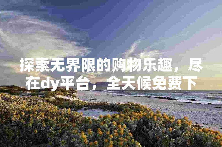 探索无界限的购物乐趣，尽在dy平台，全天候免费下单服务，让您尽享便捷购物体验。