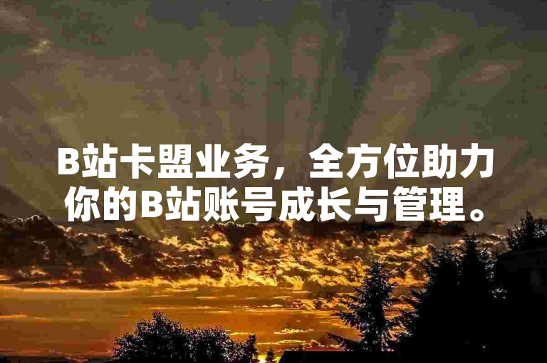 B站卡盟业务，全方位助力你的B站账号成长与管理。