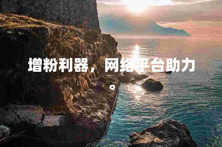 增粉利器，网络平台助力。
