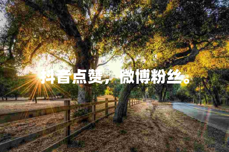 抖音点赞，微博粉丝。