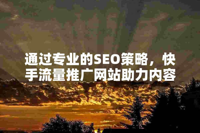 通过专业的SEO策略，快手流量推广网站助力内容创作者提升视频曝光率。