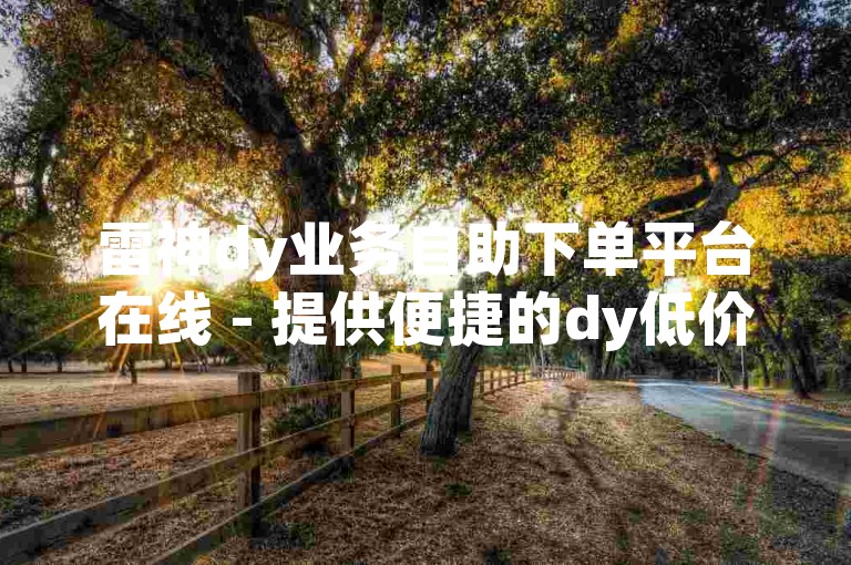 雷神dy业务自助下单平台在线 - 提供便捷的dy低价自助下单服务。