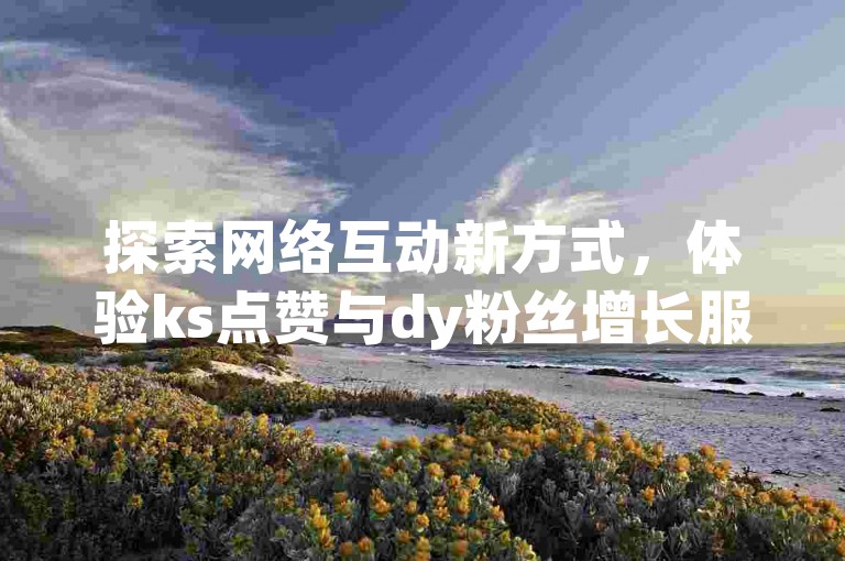 探索网络互动新方式，体验ks点赞与dy粉丝增长服务。