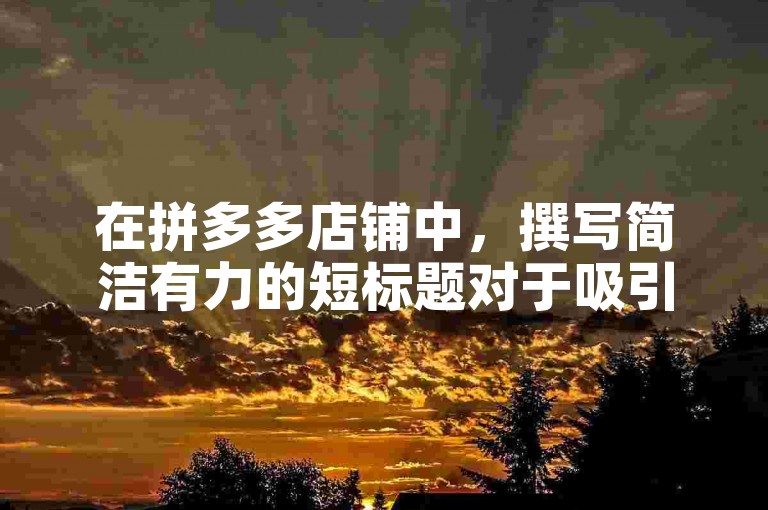 在拼多多店铺中，撰写简洁有力的短标题对于吸引顾客和提升搜索排名至关重要。