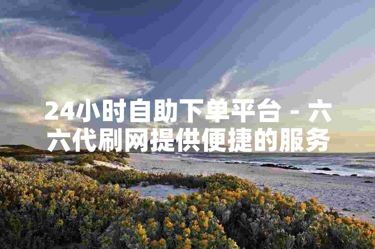 24小时自助下单平台 - 六六代刷网提供便捷的服务。