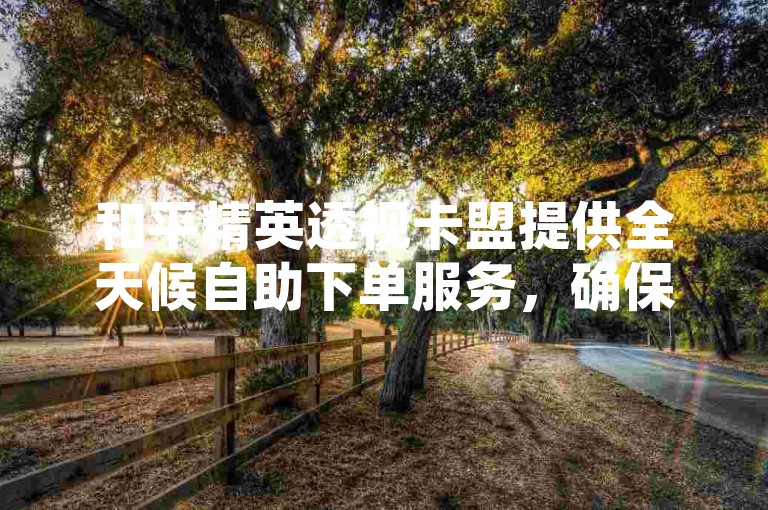 和平精英透视卡盟提供全天候自助下单服务，确保玩家随时获取所需。