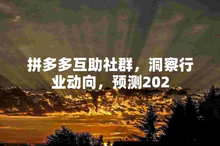 拼多多互助社群，洞察行业动向，预测2025年发展前景。
