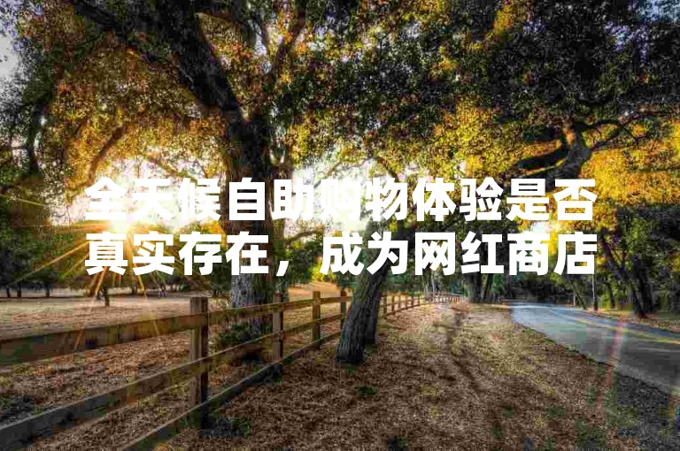 全天候自助购物体验是否真实存在，成为网红商店的一大特色。