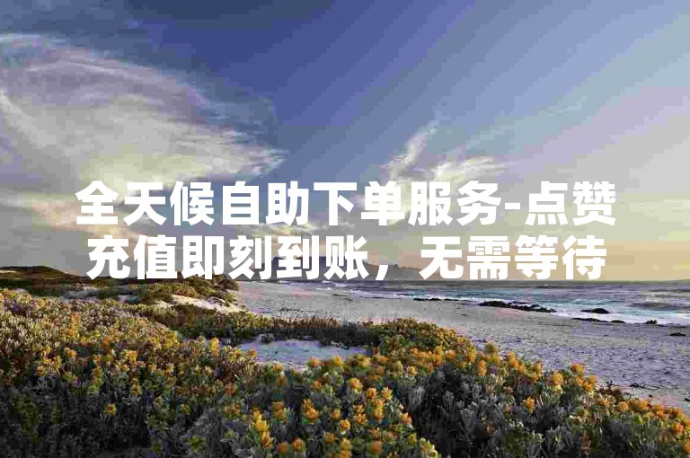 全天候自助下单服务-点赞充值即刻到账，无需等待。