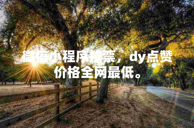 微信小程序拉票，dy点赞价格全网最低。